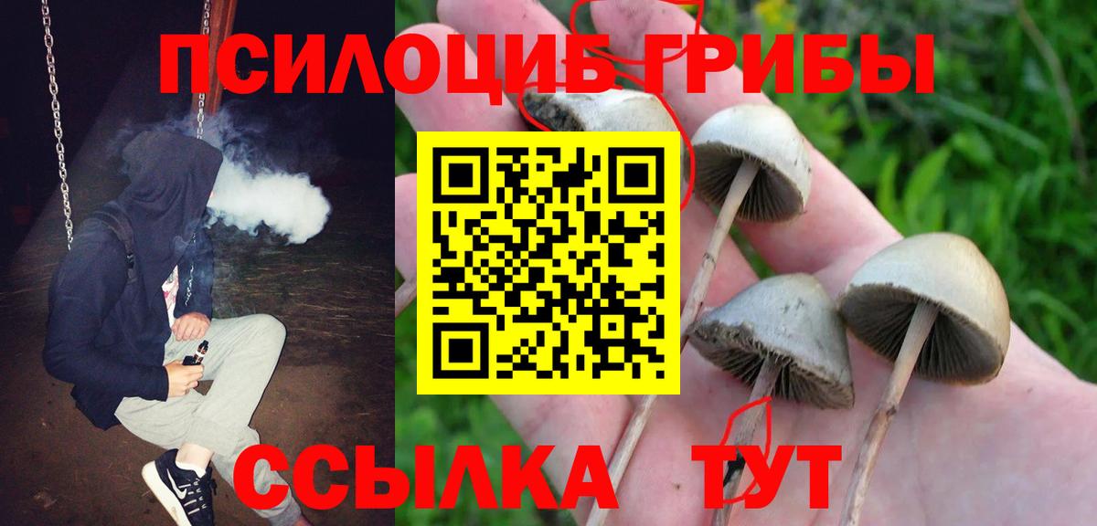 Псилоцибиновые грибы мухоморы  Галлюциногенные грибы GOLDEN TEACHER  Одинцово  Вход с VPN 